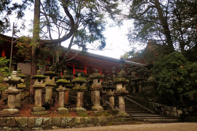 Private Journey in Nara's Historical Wonder - The Sum Up