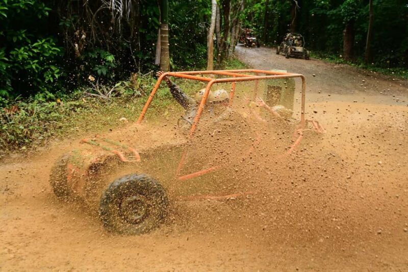 Private: Jungle Buggy Zipline Combo Adventure at La Hacienda - Who Would Love This Tour?