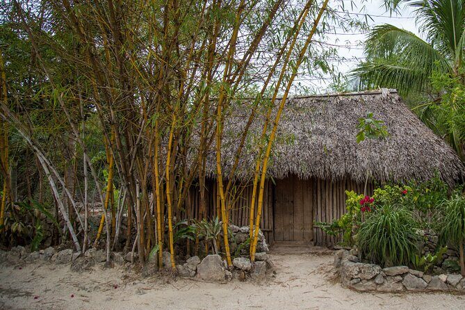 Private Jungle Expedition Tour - Authentic Experiences and Hidden Insights