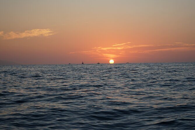 Private Jungle Horseback Adventure - Practical Details and Tips