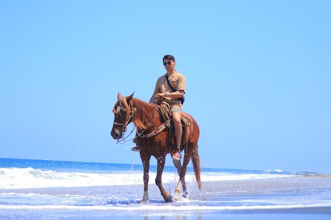 Private Jungle Horseback Adventure - Final Thoughts