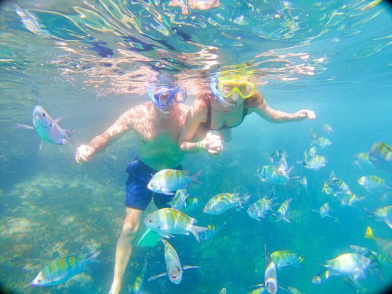 Private Junior Catamaran Tour in Punta Cana with Transportation Included - Good To Know