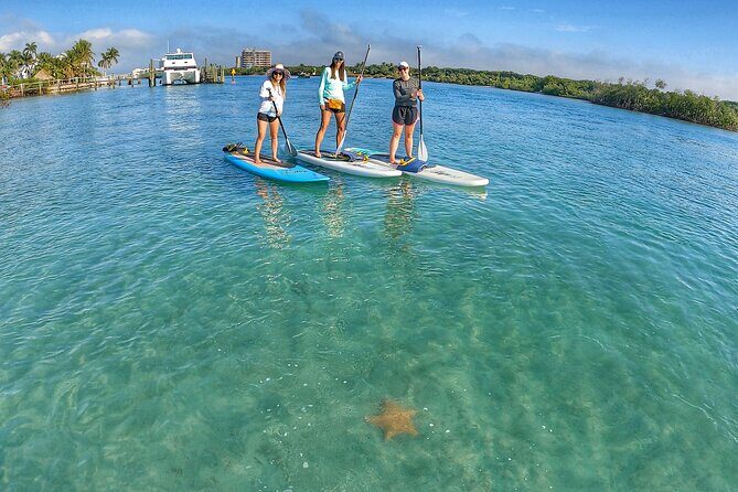 Private Jupiter Island Guided Paddle Boarding Tour - Authentic Insights from Reviewers