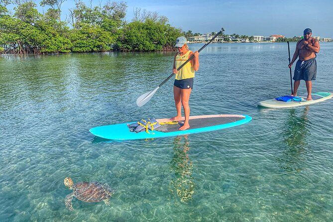 Private Jupiter Island Guided Paddle Boarding Tour - Who Will Love This Tour?