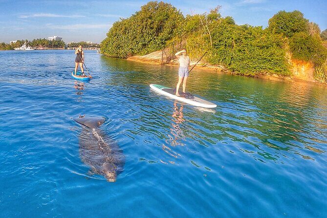 Private Jupiter Island Guided Paddle Boarding Tour - FAQ