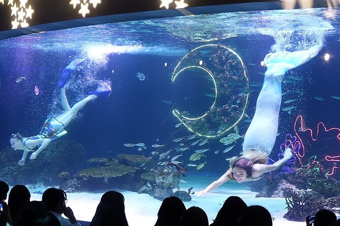 Private K-Pop Class and Tour in Seoul, South Korea - K-Pop Class and Tour Highlights