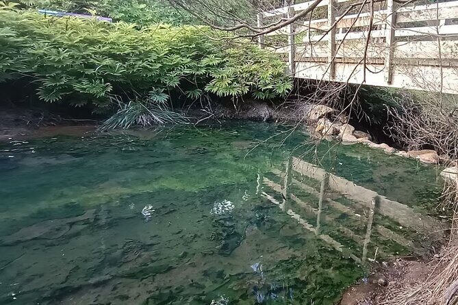 Private Kaitoke Hot Springs Soak and Walk Tour in Great Barrier - An In-Depth Look at the Kaitoke Hot Springs Soak and Walk Experience