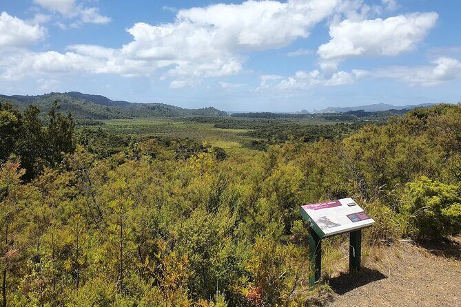 Private Kaitoke Hot Springs Soak and Walk Tour in Great Barrier - Who Is This Tour Best For?