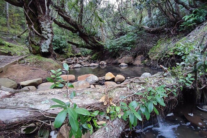 Private Kaitoke Hot Springs Soak and Walk Tour in Great Barrier - FAQ