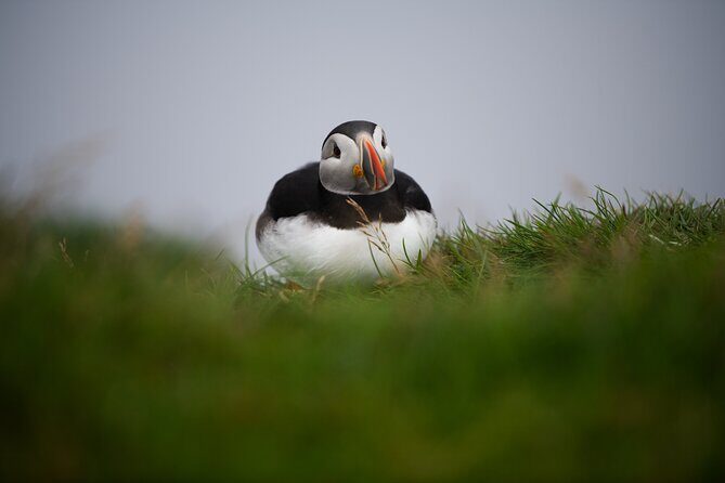 Private Kallur Lighthouse Hike - Who is this tour best for?