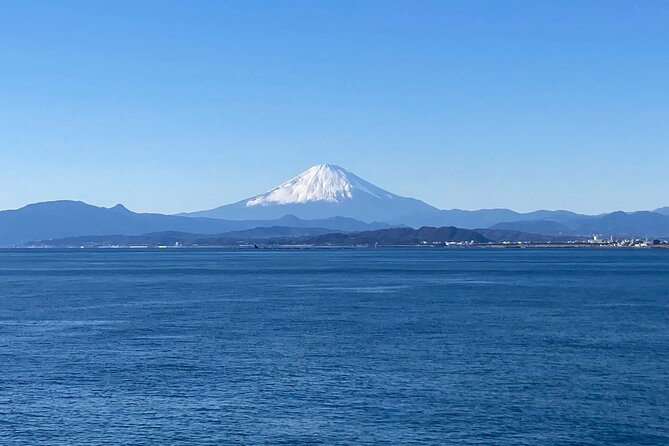 Private Kamakura and Enoshima Day Tour From Tokyo - Tour Overview