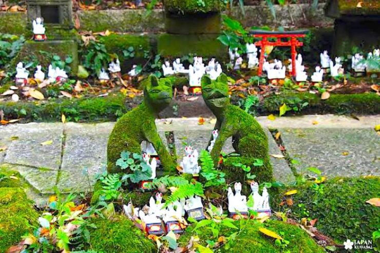 Private Kamakura and Enoshima Tour With Guide - Pickup Information and Options