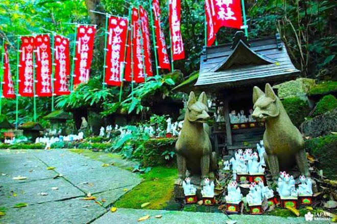 Private Kamakura and Enoshima Tour With Guide - Important Information to Know