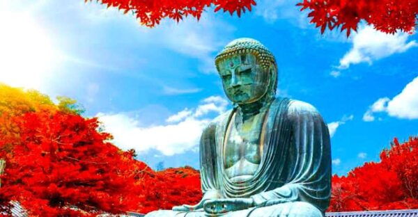 Private Kamakura and Enoshima Tour With Guide - Directions and The Sum Up