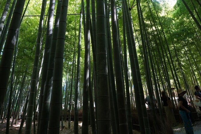 Private Kamakura Early Morning Tour (Tokyo Departure Available) - Who Is This Tour Best For?