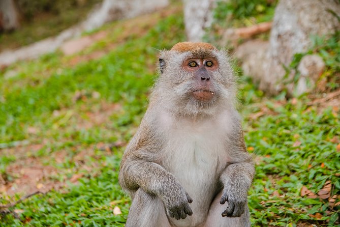 Private Kanching Waterfalls With Batu Caves & Ramayana Caves Tour - Cancellation Policy