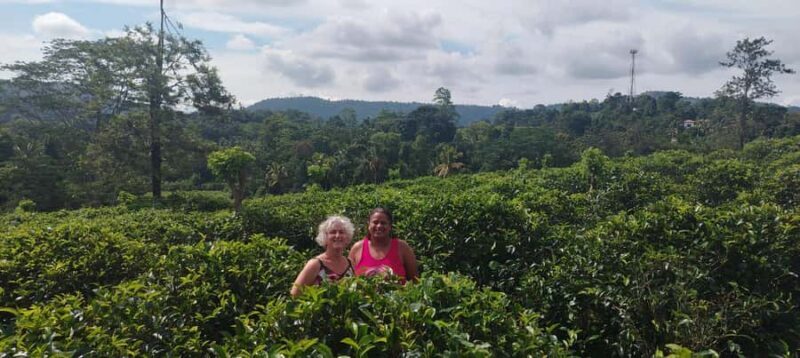 Private Kandy City Tour with Tuk-Tuk Ride - FAQ