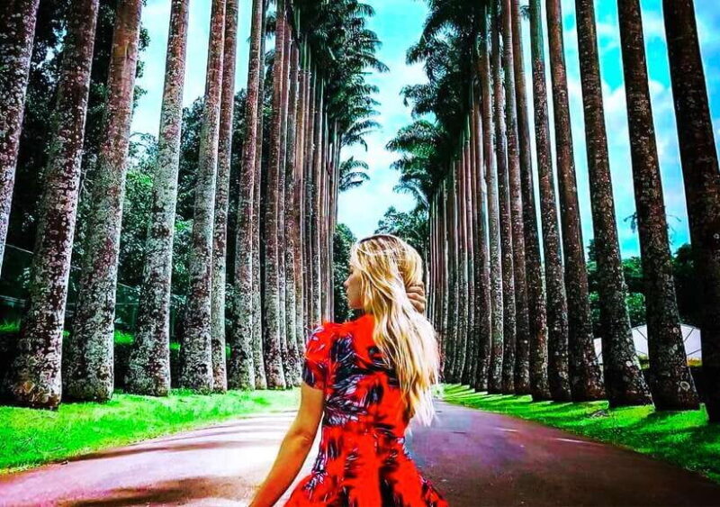 Private Kandy City Tuk-Tuk Tour and Cultural Dance Show - Why This Tour Works Well