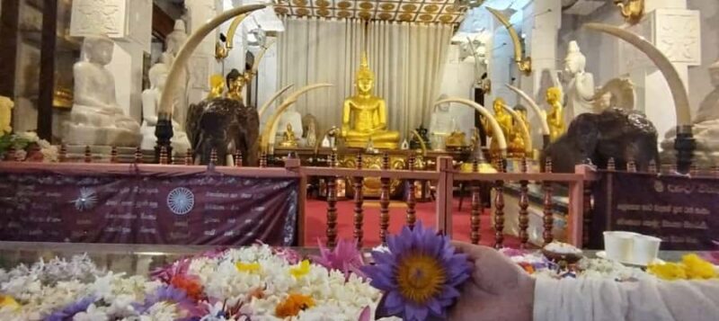 Private Kandy Day Tour: Ambuluwawa Tower & Hidden Temples - Final Thoughts