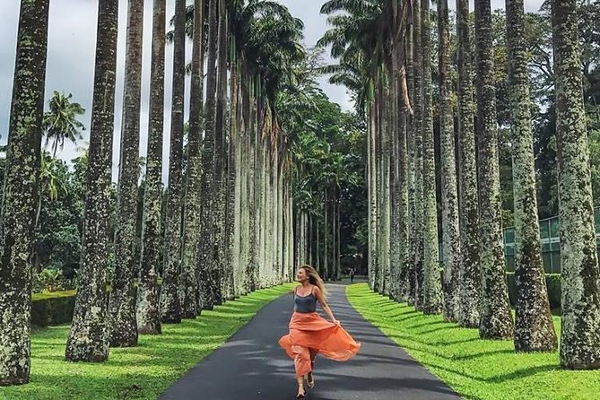 Private Kandy Day Tour From Colombo - Highlighted Attractions