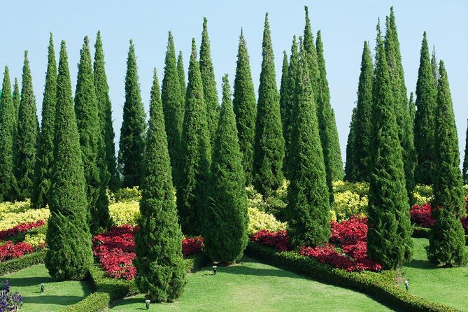 Private Kandy Day Tour From Colombo - Route and Itinerary