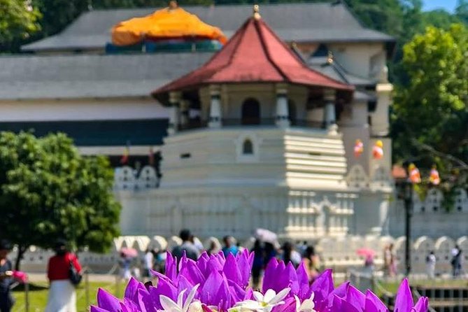 Private Kandy Day Tour From Colombo - The Sum Up
