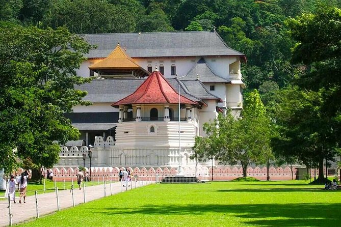 Private Kandy Day Tour From Negombo - Itinerary Highlights