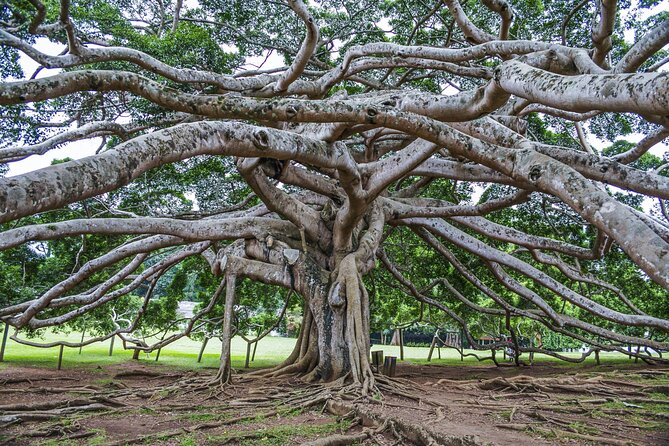 Private Kandy Day Tour From Negombo - Booking Information