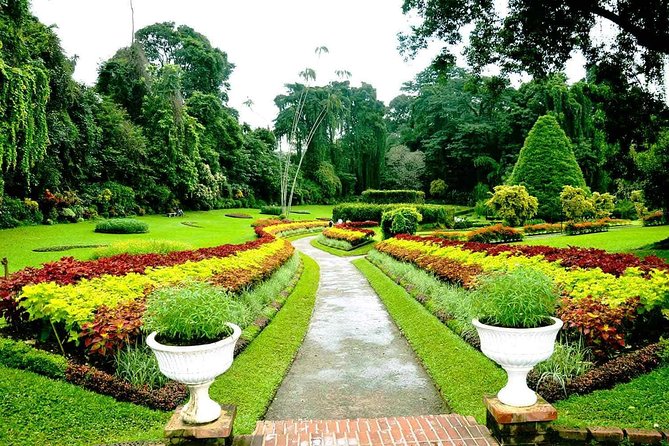 Private Kandy Day Tour From Negombo - Cancellation Policy
