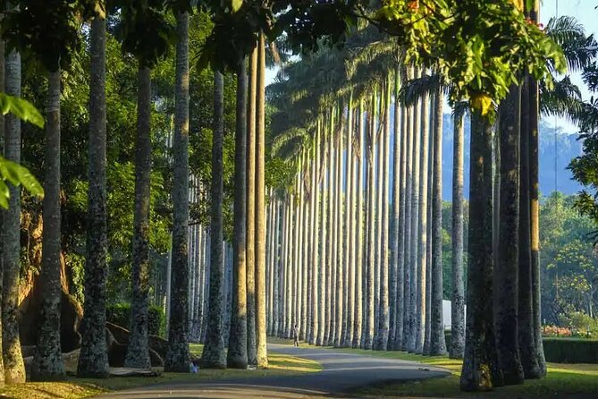 Private Kandy Day Tour From Negombo - Important Guidelines