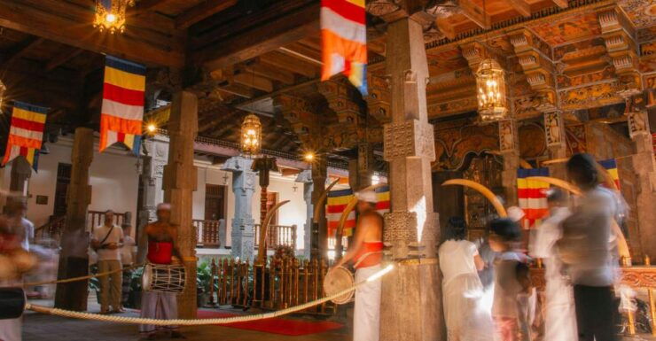 Private Kandy Pinnawala Day Tour From Bentota - Itinerary Details
