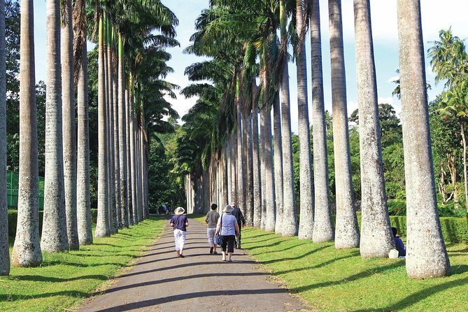 Private Kandy Tour by Air-Conditioned Car: Do It All in One Day - Tour Overview