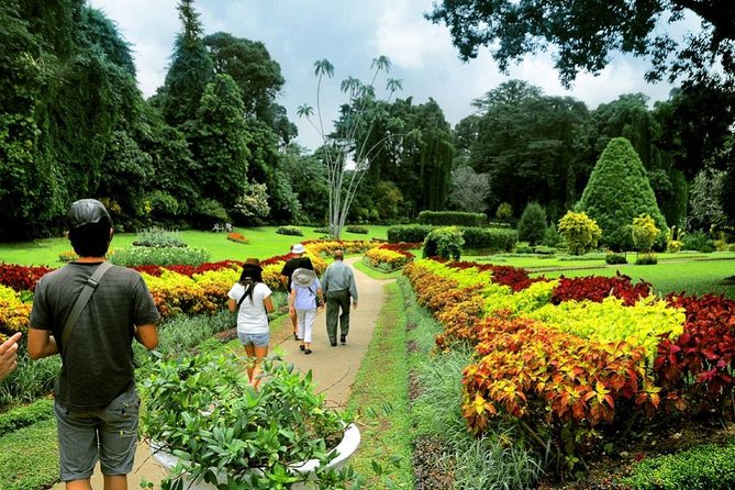 Private Kandy Tour by Air-Conditioned Car: Do It All in One Day - Customer Reviews