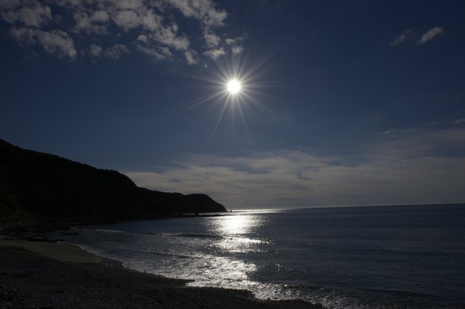 Private Kapiti Coast Full Day Tour - Pricing and Availability