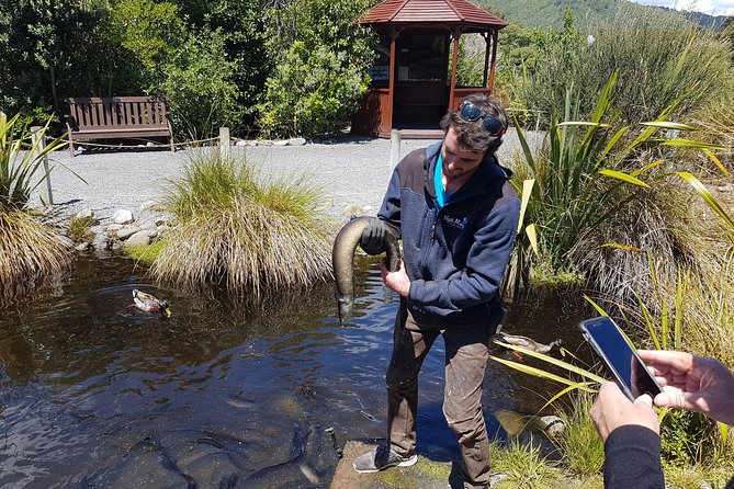 Private Kapiti Coast Full Day Tour - Common Questions