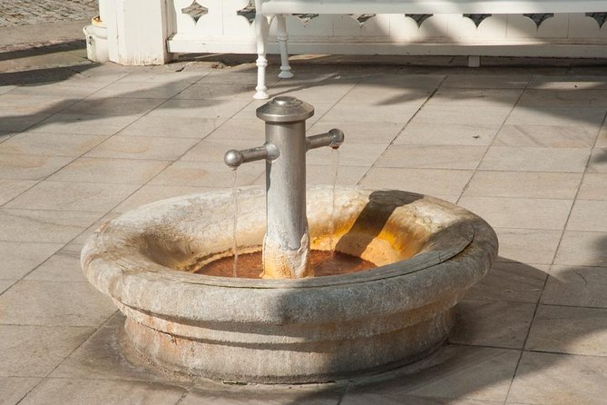 Private Karlovy Vary Trip From Prague With Glassworks All-Incl. - All-Inclusive Lunch and Souvenirs