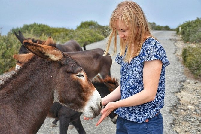 PRIVATE KARPAZ TOUR From Kyrenia - Additional Information