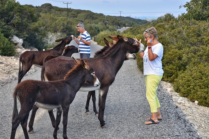 PRIVATE KARPAZ TOUR From Kyrenia - Cancellation Policy