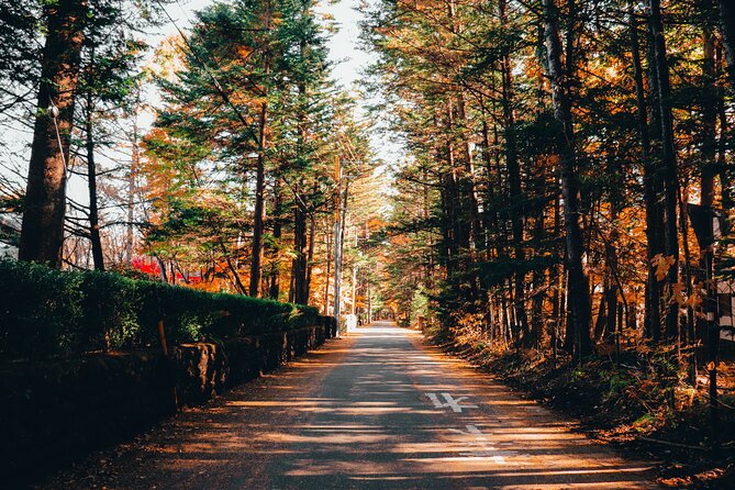 Private Karuizawa, Nagano Tour - Bilingual Chauffeur - Tour Highlights