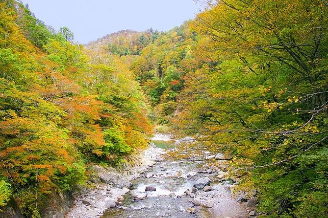 Private Karuizawa, Nagano Tour - Bilingual Chauffeur - Tour Itinerary