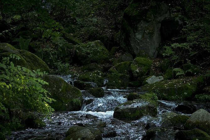 Private Karuizawa, Nagano Tour - Bilingual Chauffeur - Common Questions