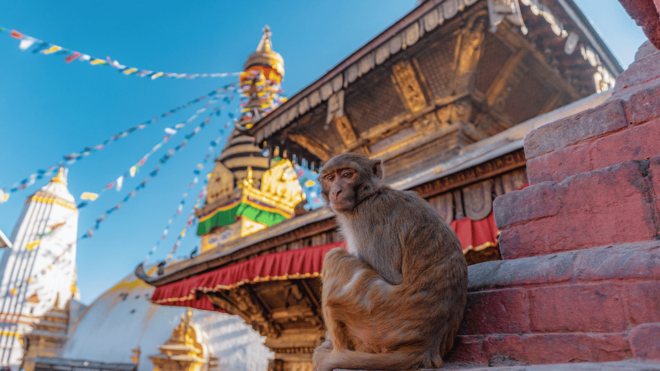 Private Kathmandu Sightseeing Tour- UNESCO Heritage Sites - Key UNESCO Heritage Sites