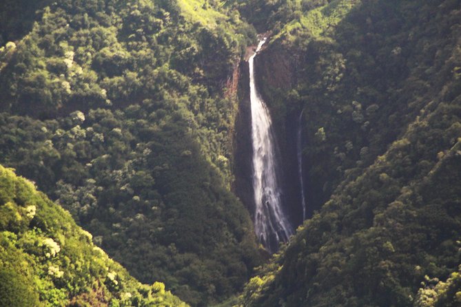 Private Kauai and Forbidden Island Airplane Tour 90 Minutes - The Sum Up
