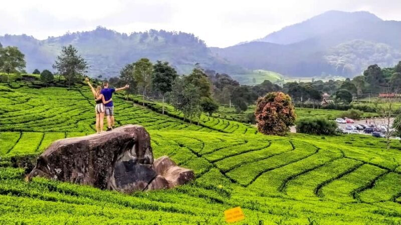 Private: Kawah Putih,Volcano,HotSpring,Mud Bathing,Lake Tour - Good To Know