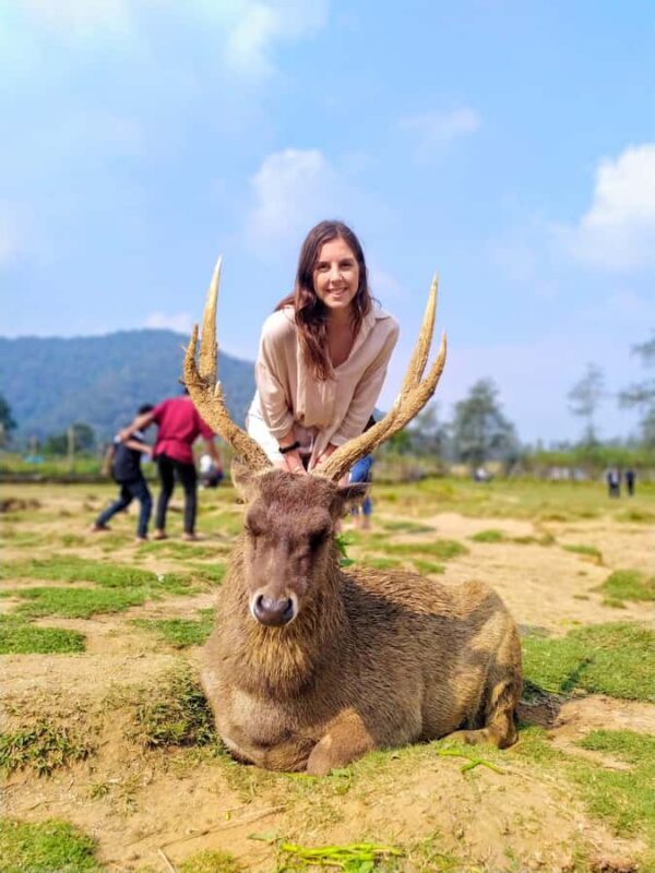 Private: Kawah Putih,Volcano,HotSpring,Mud Bathing,Lake Tour - Strawberry Farm and Local Flavors