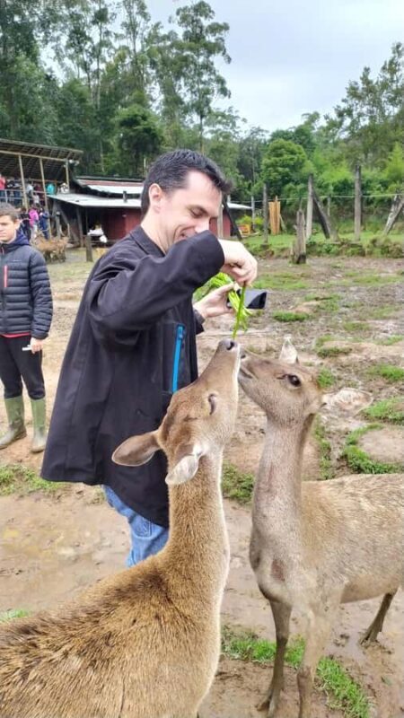 Private: Kawah Putih,Volcano,HotSpring,Mud Bathing,Lake Tour - Strawberry Picking and Local Flavors