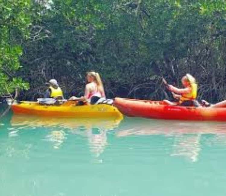 Private: Kayak Adventure at Los Haitises Sunrise Exploration - Who Will Love This Experience?
