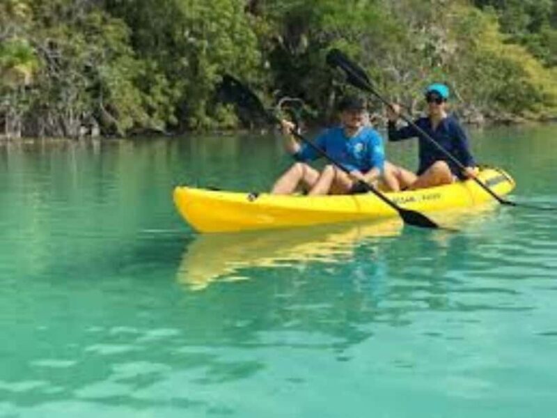 Private: Kayak Adventure at Los Haitises Sunrise Exploration - Frequently Asked Questions