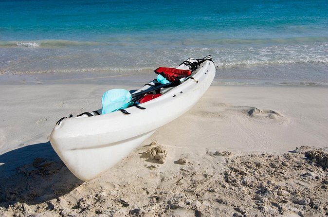 Private Kayak Tour in Puerto Rico - FAQ: Your Questions Answered