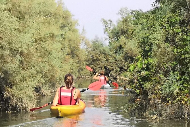 Private Kayak Tour in the Venetian Lagoon - Tour Highlights